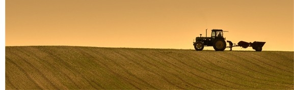 Imagen de la noticia Audiencia e información pública del Anteproyecto de Ley Agraria balear