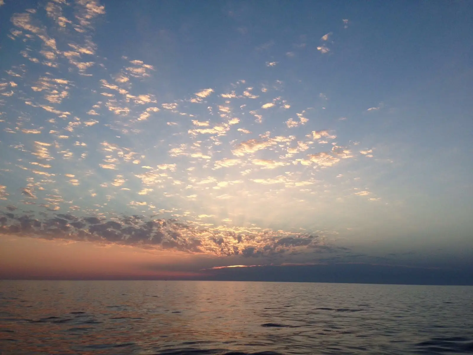 imagen de la noticia Alerta Derecho Bancario: Real Decreto-Ley 1/2017 en materia de cláusulas suelo. 