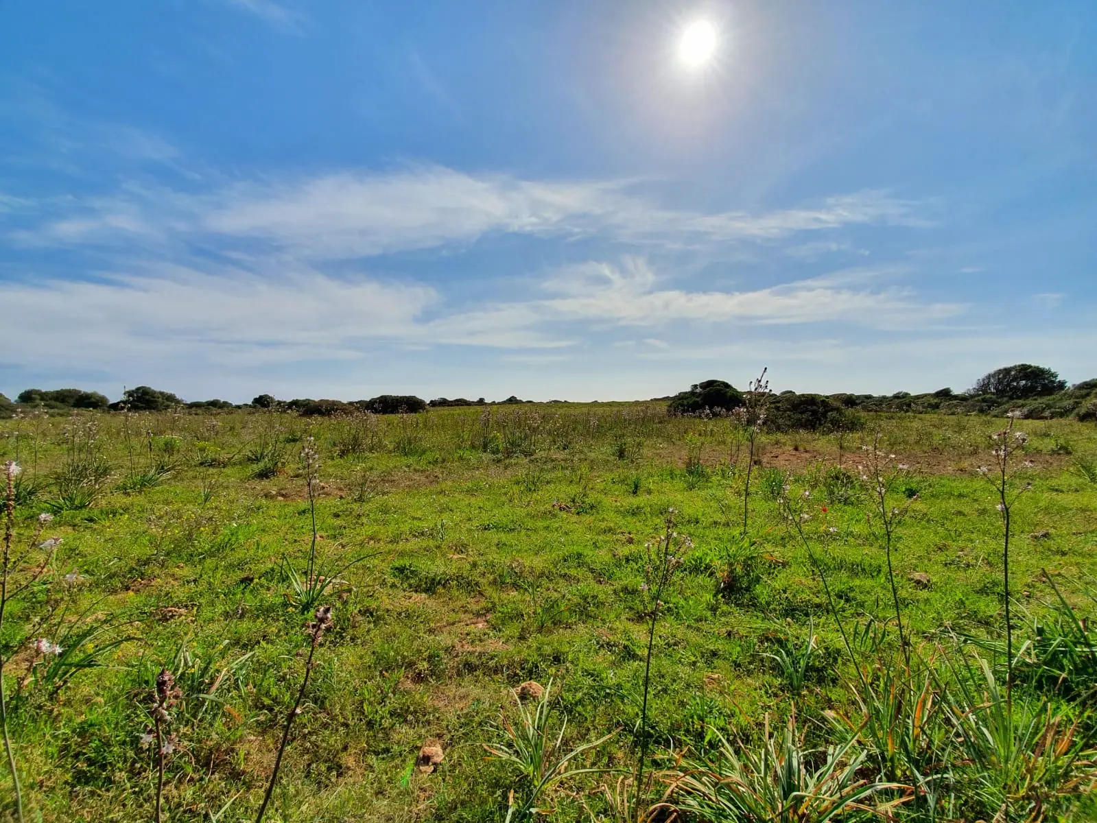 imagen de la noticia ALERTA:MEDIDAS LABORALES ANTE EL COVID-19 (CORONA VIRUS): EXPEDIENTE DE REGULACIÓN TEMPORAL DE 